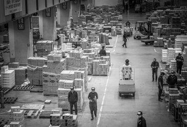 Carrinho de carga para transporte: guia técnico e benefícios Carrinho de carga para transporte: guia técnico e benefícios